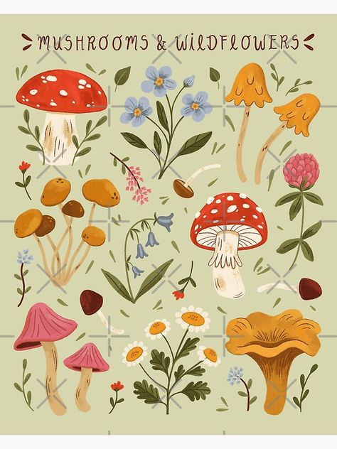 Flowers And Mushrooms Painting, Flowers And Mushrooms Drawing, Procreate Mushroom Drawing, Woodland Creature Illustration, Mushrooms And Wildflowers, Mushroom Illustration Cute, Cottage Core Illustration, Toadstool Illustration, Whimsical Packaging