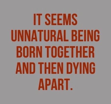 Twins Twin Things Aesthetic, Rosier Twins Aesthetic, Twinless Twin Quotes, Conjoined Twins Aesthetic, Twin Aesthetic Brothers, Creepy Twins Aesthetic, Identical Twins Aesthetic, Fraternal Twins Aesthetic, Evil Twin Aesthetic