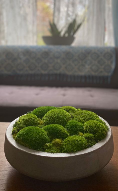 Made in torinto for local delivery. Preserved mosses in a Fibreglass and concrete base. Everything is very secure. and this creation needs inly be kept out of the bright sun for lasting enjoyment. Restoration Hardware Moss Bowl, Concrete Bowl Decor, Round Dining Table Centerpiece, Moss Arrangements, Moss Bowls, Moss Pot, Biofilic Design, Moss Bowl, Non Floral Centerpieces