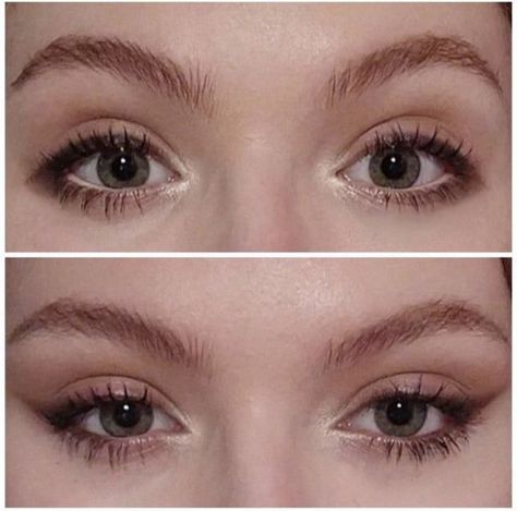 "Oh Christmas brow, oh Christmas brow, how lovely are your arches... Cute Cat Eye Makeup, Brown Puppy Eyeliner, Wide Set Eyes Aesthetic, Puppy Eyeliner Makeup Looks, Puppy Makeup Aesthetic, Puppy Eyeliner Aesthetic, Puppy Dog Eye Makeup, Puppy Liner Hooded Eyes, Cat Like Makeup