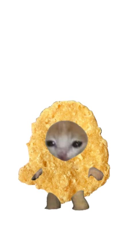 He's a chickin nugget🤪🔥 Chicken Nugget Pfp, Cat Chicken Nugget, Chicken Nugget Meme, Buff Chicken, Food Cat, Cat Pfp, Chicken Nugget, Cat Costume, Chicken Humor