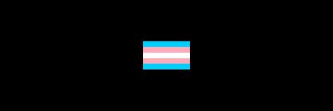 Trans Twitter Header, Pride Header, Trans Things, Grey's Anatomy Doctors, Discord Banner, Cute Headers, Trans Pride, Lgbt Art, Twitter Banner