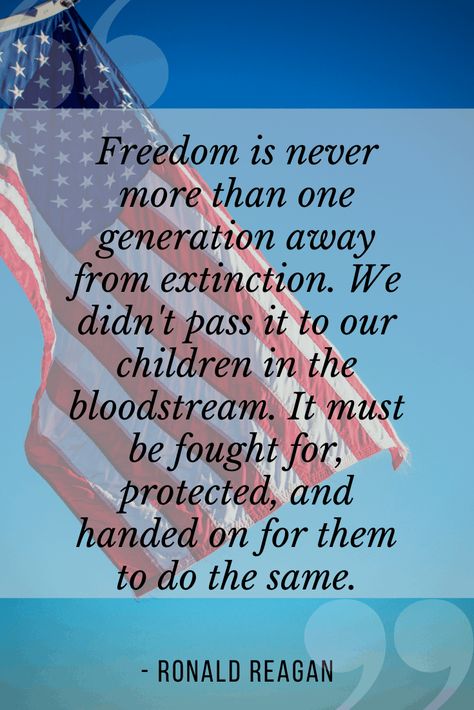 Proud American Quotes, Freedom Quotes American, July Widget, American Flag Quotes, Usa Constitution, Quotes About Freedom, Seasonal Quotes, Freedom Is Not Free, Ronald Reagan Quotes