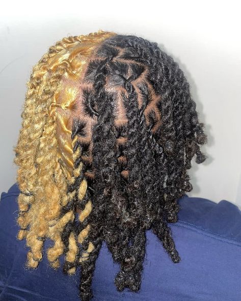 Dreds Locs Blonde, Half And Half Hair Color Locs, Half Blonde Half Black Locs, Half And Half Locs, Blonde Tips On Locs, Split Dyed Locs, Black And Blond Locs, Black And Blonde Dreadlocks, Black And Blonde Locs