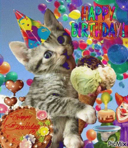 Happy Birthday Birthday Cake GIF - HappyBirthday BirthdayCake Kitten - Discover & Share GIFs Dancing Cat Gif, Happy Birthday Dancing, Birthday Gif Images, Happy Birthday Gif Images, Funny Happy Birthday Images, Happy Birthday Niece, Birthday Cake Gif, Happy Birthday Clip Art, Happy Birthday Cat