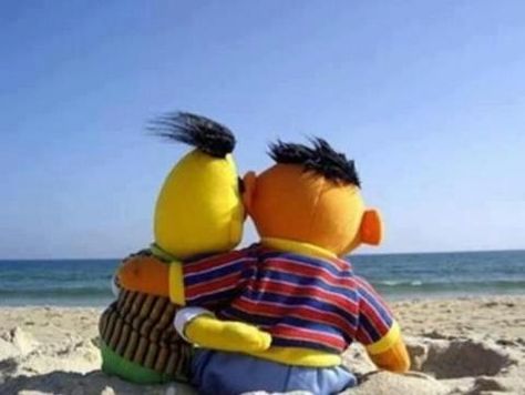 Bert and Ernie hugging on the beach Epi Y Blas, Beto Y Enrique, Ernie Und Bert, Die Muppets, Beste Gif, Bert & Ernie, Bd Art, Fraggle Rock, Images Esthétiques