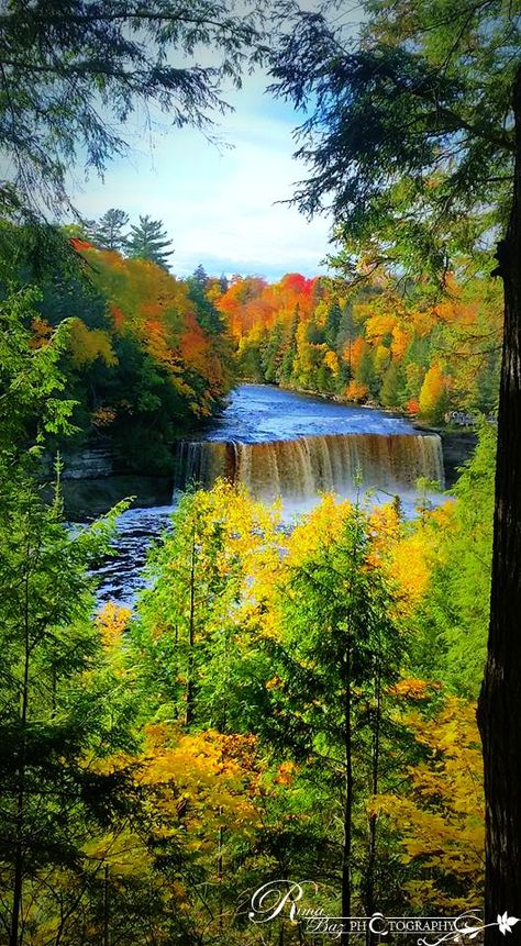 Tahquamenon Falls State Park, upper Peninsula Michigan Tahquamenon Falls, Upper Peninsula Michigan, Upper Peninsula, Autumn Painting, Pure Michigan, Vacation Places, State Park, Beautiful Landscapes, Places Ive Been