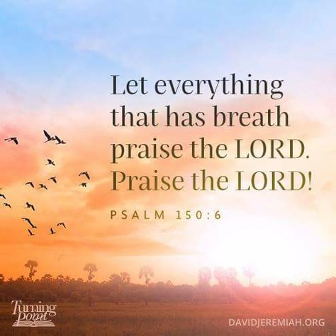 Psalm 150 6, Psalm Scriptures, God Power, Dr David Jeremiah, Christian Scriptures, Psalm 150, David Jeremiah, Spiritual Beauty, Prayer Group