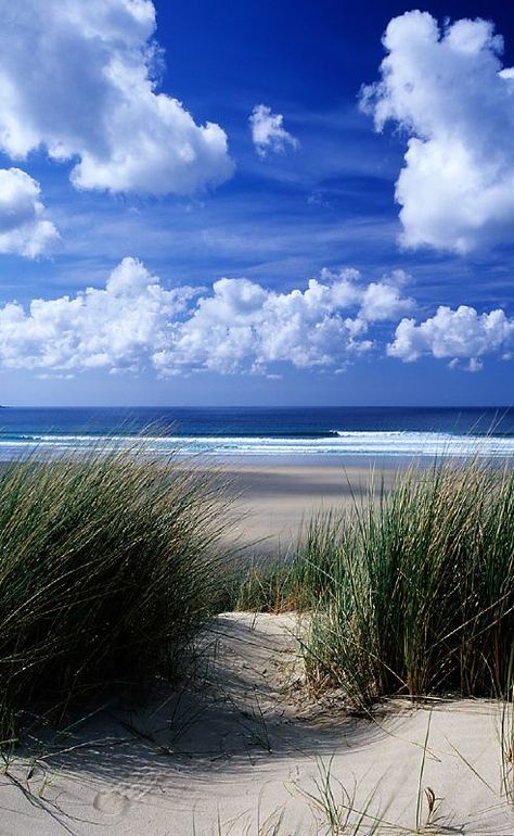 Matka Natura, Have Inspiration, I Love The Beach, St Ives, Beach Scenes, The Grass, Ocean Beach, The Sand, Belle Photo