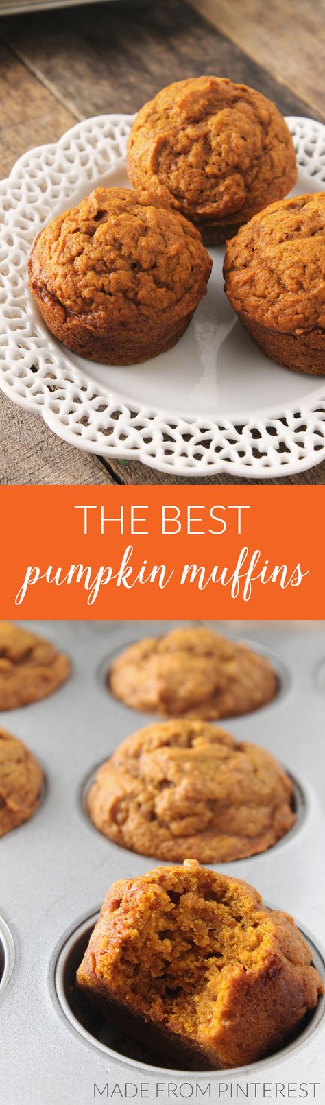 best-pumpkin-muffins Muffins With Pumpkin Puree, Applesauce Pumpkin Muffins, Pumpkin Munchkin Recipe, Pumpkin Muffins Without Eggs, Pumpkin Muffins With Applesauce, Pumpkin Puree Muffins, Oatmeal Pumpkin Muffins, Pumpkin Applesauce Muffins, Pumpkins Spice