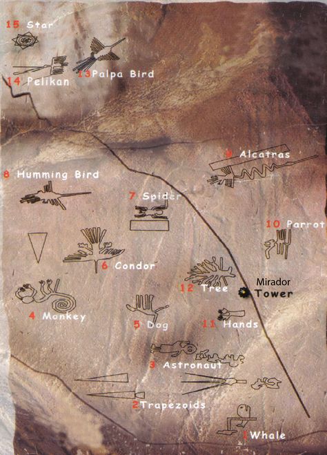 Map of Nazca Lines designs Nasca Lines Peru, Inca Pyramid, Inca History, Nazca Lines Peru, Petroglyph National Monument, Whales, Nazca Lines, Unexplained Mysteries, Ancient Astronaut