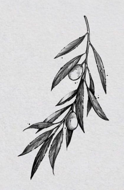 Roman Olive Branch Tattoo, Men Olive Branch Tattoo, Olive Branch Reference, Men’s Olive Branch Tattoo, Mens Olive Branch Tattoo, Olive Tree Tattoo Men, Roman Leaves Tattoo, Botanical Tattoo Men, Small Olive Branch Tattoo