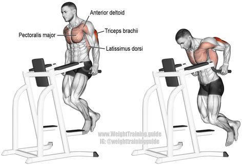 Best Tricep Exercises, Chest Day Workout, Latihan Dada, Best Chest Workout, Compound Exercises, Tricep Dips, Chest Workouts, Triceps Workout, Chest Workout