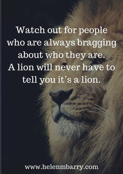 Watch out for people who are always bragging about who they are. A lion will never have to tell you it's a lion. Lioness Quotes, Lion Quotes, Warrior Quotes, A Lion, Inspiring Quotes About Life, Encouragement Quotes, Wise Quotes, Cute Quotes, Meaningful Quotes