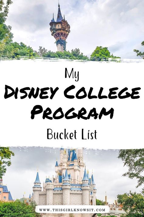 Disney Cultural Exchange Program, University Advice, Disney Internship, College Bucket List, Disney Bucket List, Florida College, School Lifestyle, College Club, Exchange Program