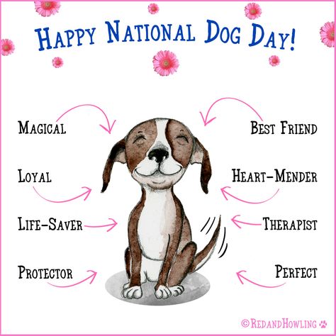 Happy National Dog Day! Happy National Dog Day, Pocket Beagle, National Dog Day, Dog Day, Quotes Happy, Beagle Puppy, Dog Rules, Memes Humor, Crazy Dog