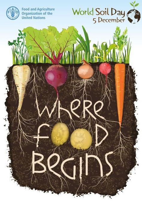 Soil Conservation Poster, Soil Conservation Poster Ideas, Conservation Poster Ideas, Conservation Poster, World Soil Day, Soil And Water Conservation, Soil Conservation, Organic Store, Project Cover Page