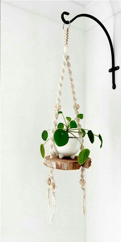 Diy Wood Shelves, Plant Hanging, Support Pour Plante, نباتات منزلية, Diy Macrame Plant Hanger, Hanging Plants Indoor, Hanger Diy, Diy Plant Hanger, Diy Holz