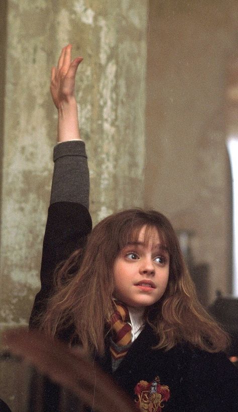 Hermione, Harry Potter