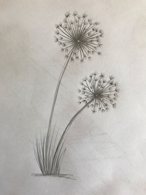 Easy Plant Sketches, Easy Pretty Drawings, Cool Flower Drawings, Pencil Art Flowers, Nature Art Ideas, Flower Drawing Sketch, Easy Nature Drawings, Drawing Of Flowers, Flower Drawing Ideas