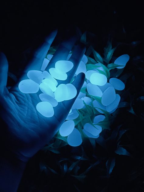 Glow Stones Path, Glowing Stones Garden, Glow In The Dark Flowers, Blue Garden Aesthetic, Glow In The Dark Aesthetic, Glow In The Dark Wedding, Fantasy Stone, Glowing Plants, Cave People