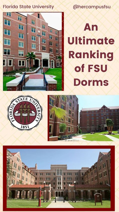 Fsu Vs Uf, Fsu Dorm, Business Major, University Dorms, Student Dorm, College Dorm Essentials, Dream College, Her Campus, Florida State University