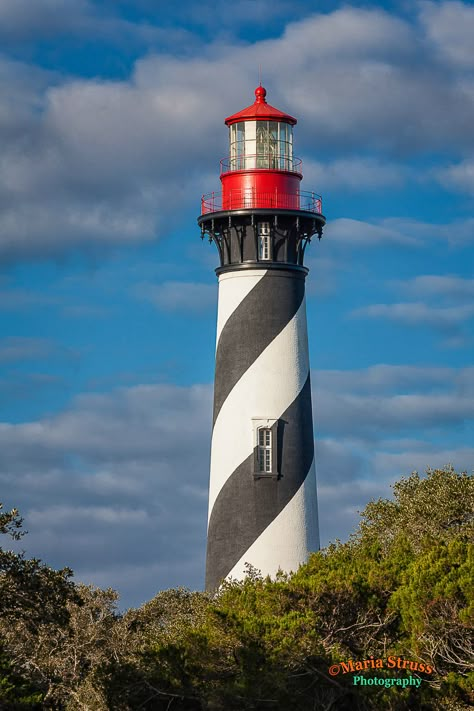 A vertical photograph of  Florida's St. Augustine Lighthouse showing it rising above surrounding trees by Maria Struss Photography St Augustine Florida Lighthouse, Lighthouse Project, Brick Structure, Florida Lighthouses, St Augustine Lighthouse, Florida Landscape, Lighthouse Lighting, Lighthouses Photography, Lighthouse Point