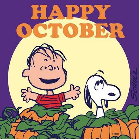 Happy October Snoopy October, Peanuts Wallpaper, Charlie Brown Thanksgiving, Peanuts Halloween, Snoopy Funny, Snoopy Halloween, Peanuts Cartoon, Hello October, Snoopy Wallpaper