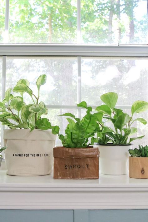 Paper Bag Planter, Decorate Small Spaces, English Ivy Plant, Glamorous Kitchen, Diy Paper Bag, Plant Bags, Herb Garden In Kitchen, Money Gifts, Paper Lunch