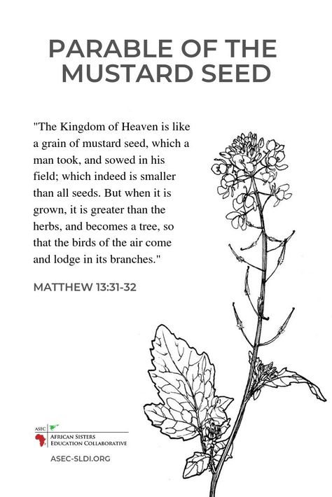 "The Kingdom of Heaven is like a grain of mustard seed, which a man took, and sowed in his field; which indeed is smaller than all seeds. But when it is grown, it is greater than the herbs, and becomes a tree, so that the birds of the air come and lodge in its branches." -Matthew 13:31-32  #parable #bible #MustardSeed Biblical Plants, Matthew 13:31-32, Mustard Tattoo, Faith Is Like A Little Seed, Mustard Seed Drawing, Faith Of A Mustard Seed Quote, Mustard Seed Quote, Mustard Tree Tattoo, Mustard Seed Art