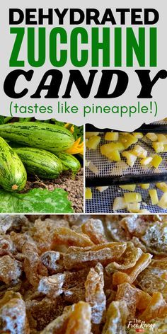 Zucchini Candy, Dehydrating Zucchini, Preserve Zucchini, Dehydrated Zucchini, Preserving Zucchini, Squash Ideas, Zucchini Pineapple, Dehydrating Food Storage, Food Dehydration