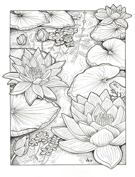 Habitats - Black & White on Behance Disney Traceable Drawings, Nature Mandalas Coloring Book Melpomeni, Traceable Drawings To Paint, Floral Sketch Drawing, Lotus Sketch, Lotus Drawing, Floral Pattern Art, Black White Painting, Sketch Pattern