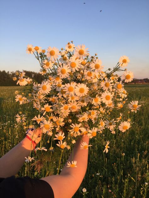 Emely Core Aesthetics, Anneliese Core, May Vibes, Flower Child Aesthetic, Music Cover Photos, My Plant, 100 Things To Do, Nothing But Flowers, Summer Plants