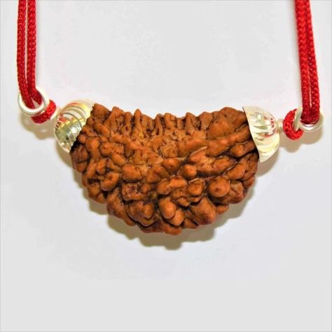 Rudraksha Pendant Detail-

Bead Name- Rudraksha

Rudraksha Face/ Mukhi- One

Bead Shape- Cashew

Bead Color- Brown

Bead Origin- Himalaya

Bead Natural- Yes

Bead Certified- Yes

Pendant Metal- 925 Sterling Silve Rudraksha Pendant, Rudraksha Jewelry, Shiva Parvati, Astrology Jewelry, Rudraksha Beads, Brass Statues, Body Energy, Things Under A Microscope, Types Of Gemstones