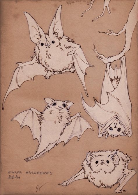 Art Vampire, Some Drawings, Bat Art, Cute Bat, 영감을 주는 캐릭터, Creature Art, Pretty Art, 그림 그리기, Drawing Inspiration