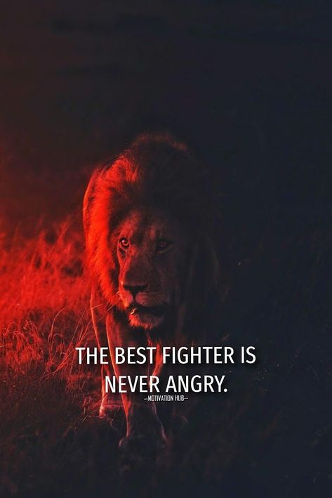 quotes lion, lion roar, lion drawings, lion with quotes, lions logo, motivation quotes, lion and tiger, lion energy, old lion, inspirational quotes, lion wild, love lion , heart quotes, mentality quotes, brave lion quotes, strength quotes, lions king, lion roar quotes, quotes wallpaper, motivational quotes, attitude quotes, funny quotes, lion wallpaper, old lion quotes, mother quotes, cute quotes, quotes dp, animal quotes, lion lover Positive Motivation Wallpaper, Motivated Wallpaper, Tattoos Motivational, Lion Mentality, Astrology Goddess, Wolf Pack Quotes, Motivational Qoute, Badminton Quotes, Lion Motivation