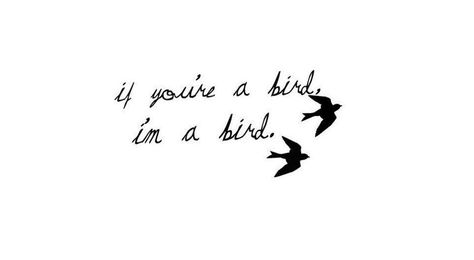 If you're a bird, I'm a bird. The Notebook.