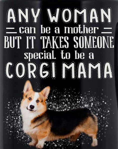 Corgi Quotes, Crazy Corgi, Corgi Face, Corgi Art, Welsh Corgi Puppies, Corgi Mom, Corgi Funny, Cardigan Welsh Corgi, Corgi Puppy