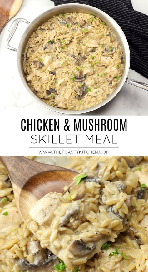 Chicken mushroom orzo recipe by The Toasty Kitchen. This creamy chicken mushroom orzo is a quick and flavorful meal that's made in a single pan in 30 minutes. Chicken, mushrooms, and orzo are coated in a creamy homemade herb sauce. #chickenmushroomorzo #skilletmeal #onepanmeal #orzo #creamychickenorzo Chicken Mushroom Orzo, Chicken And Mushroom Skillet, Chicken Spinach Mushroom, Mushroom Skillet, Mushroom Orzo, Creamy Chicken Mushroom, Chicken Mushrooms, Chicken And Mushroom, Chicken Breakfast