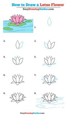 Learn How to Draw a Lotus Flower: Easy Step-by-Step flDrawing Tutorial for Kids and Beginners. #LotusFlower #drawingtutorial #easydrawing See the full tutorial at https://easydrawingguides.com/draw-lotus-flower-really-easy-drawing-tutorial/. Draw A Lotus Flower, Trin For Trin Tegning, Lotus Flower Drawing, Lotus Drawing, Easy Flower Drawings, Easy Flowers, Flower Step By Step, Desain Quilling, Flower Drawing Tutorials