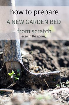 Organic Gardening Tips, Vegetable Garden Beds, Organic Pesticide, Look Wallpaper, Organic Vegetable Garden, Starting A Garden, New Garden, Have Inspiration, Organic Garden