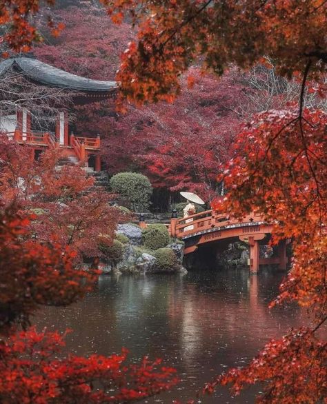 Autumn Whispers🍂🖤🍂 | Autumn in Kyoto Japan 🇯🇵  | Facebook Japan Autumn, Late November, Lovely Places, Fall Country, Japan Travel Guide, Japanese Landscape, Japan Photo, Fall Travel, Osaka Japan