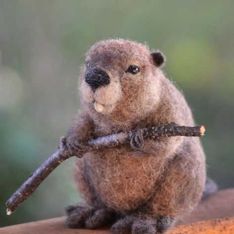 Needle Felted Beaver, Felt Beaver, Felting Ideas, Wool Felting, Felt Food, Needle Felt, A Stick, A Holiday, Needle Felting