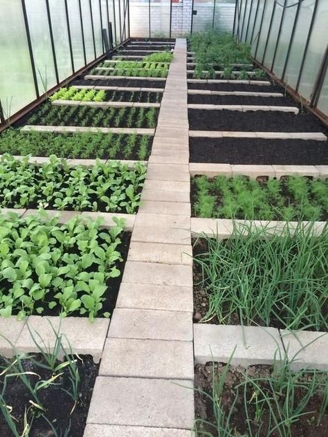 Storage Outdoor, Diy Garden Bed, Vegetable Garden Diy, Backyard Greenhouse, Backyard Vegetable Gardens, Firewood Storage, Have Inspiration, Home Vegetable Garden, Greenhouse Gardening