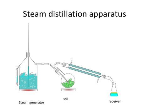 Steam Distillation Apparatus Laboratory Aesthetic, Distillation Apparatus, Espalier Fruit Trees, Technology Diy, Essential Oils Guide, Steam Distillation, Steam Generator, Chemical Engineering, Earthship