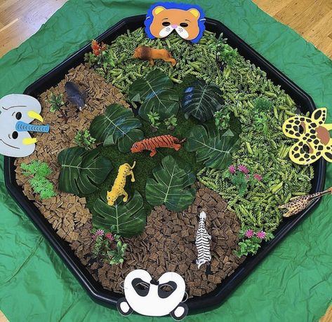 Jungle Animal Tuff Tray Ideas, Rainforest Tuff Tray, Jungle Messy Play Ideas, Safari Tuff Tray Ideas, Jungle Messy Play, Jungle Tuff Tray Ideas, Jungle Sensory Play, Monkey Puzzle Eyfs, Jungle Activities Eyfs