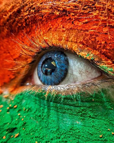 Hindustan Pictures on Instagram: “The Indian Flag 🇮🇳 • • Featured Artist: @harmeetsingh1 • • #indianflag #creativity #perspective #_hpics #proudtobeanindian #colours…” Independence Day, Flag, India, Paint, Green, On Instagram, Instagram