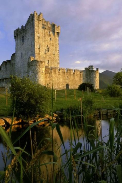 Ross Castle Ireland, Uk Castles, Ireland Aesthetic, Ross Castle, Scottish Ancestry, Castle Ruins, Killarney, Emerald Isle, Medieval Castle