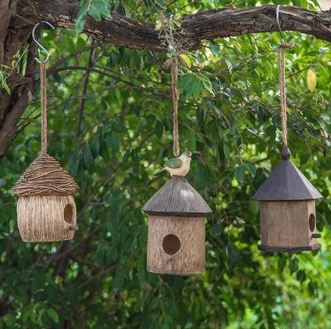 Bird house kits