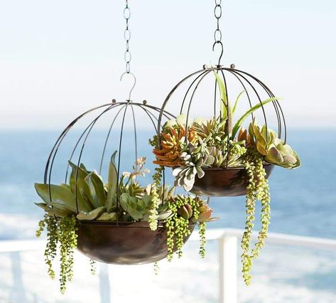 Hanging basket decor